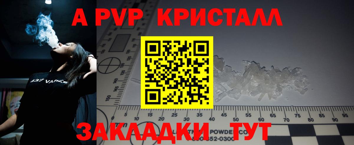 где купить   Alfa_PVP крисы CK  Альфа ПВП  Вход с VPN  Карабулак 