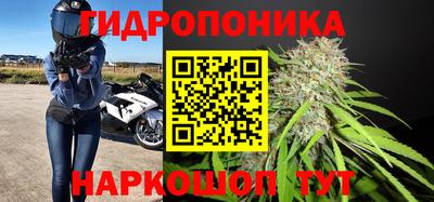 ALPHA PVP Мариинск