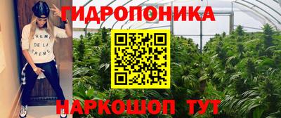 ALPHA PVP Мариинск