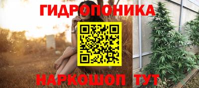 стафф Малгобек